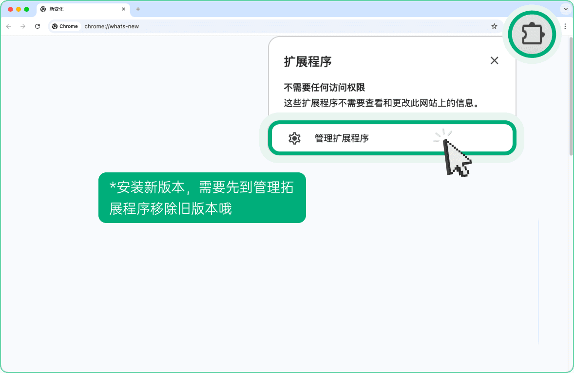 打开扩展程序管理页面